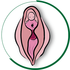 thẩm mỹ vùng kín