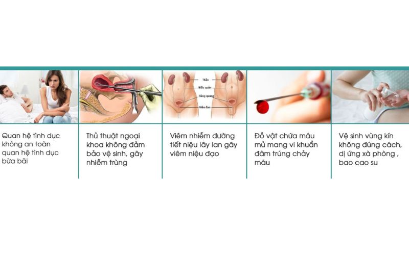 viêm niệu đạo Vkin Clinic 1