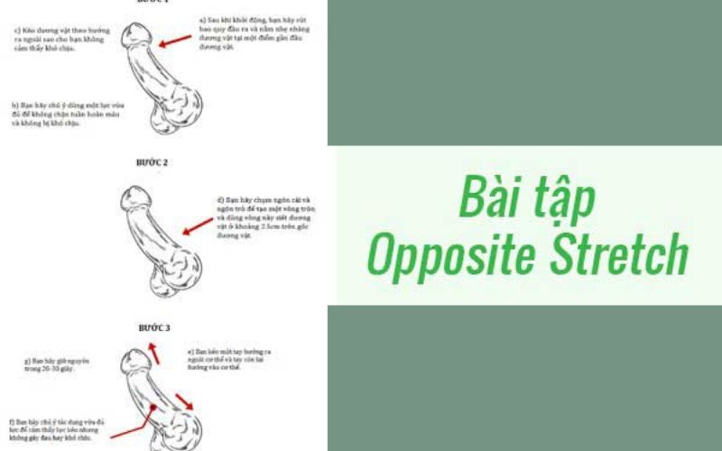 bài tập tăng kích thước cậu nhỉ Vkin Clinic 3