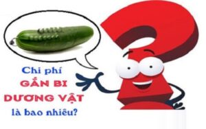 chi-phi-gan-bi-dương-vật- vkin-1